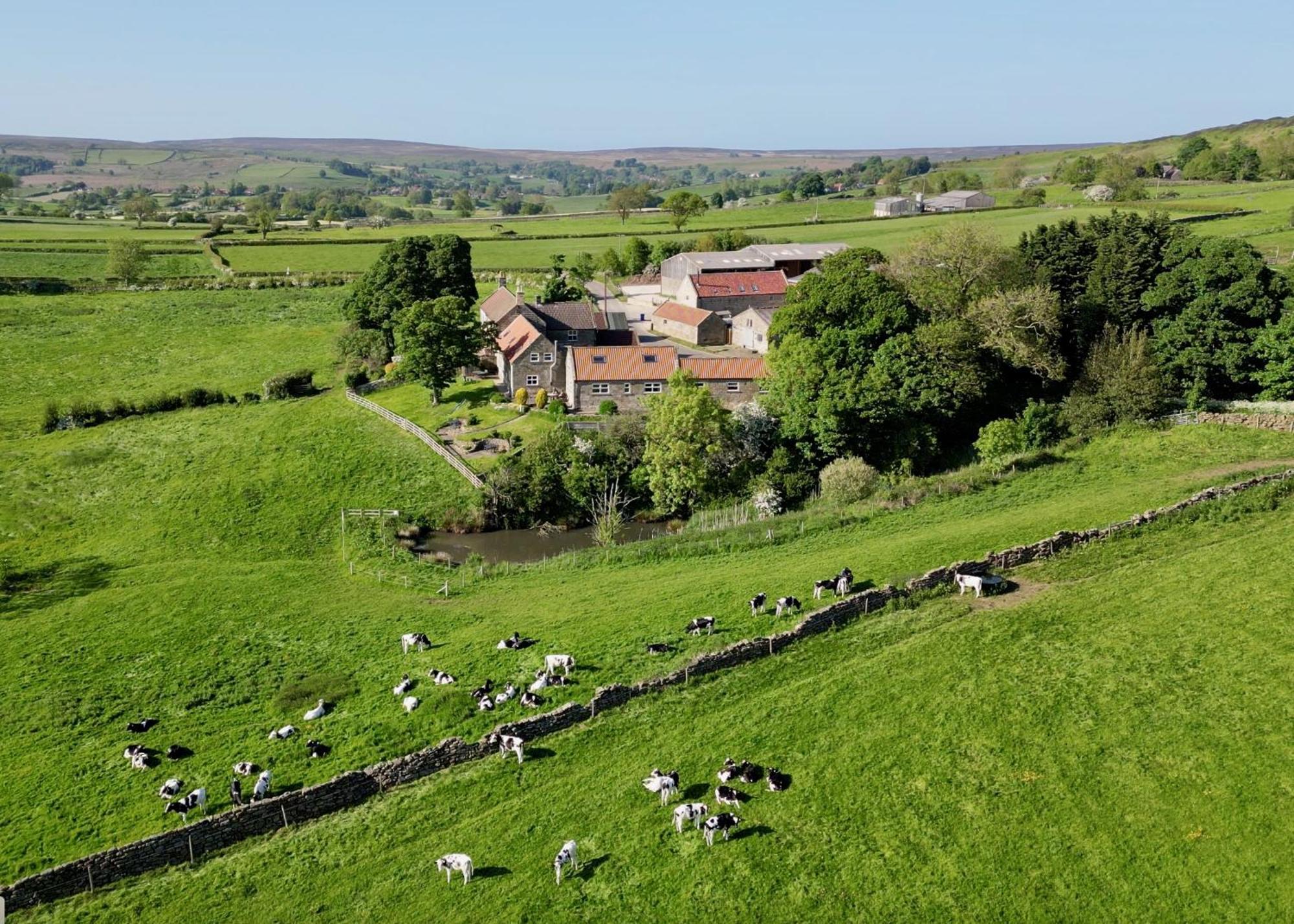 Church House Farm Danby Extérieur photo
